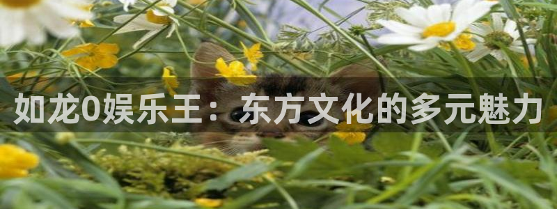 超凡国际官网