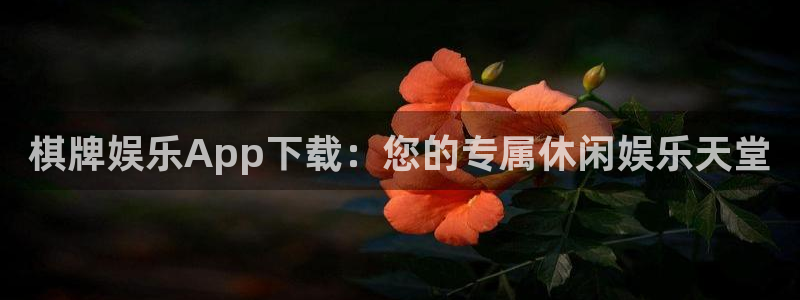 超凡国际服